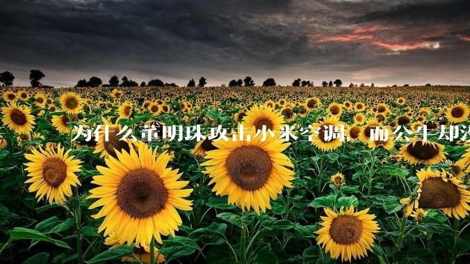 为什么董明珠攻击小米空调，而公牛却没有攻击小米插座？