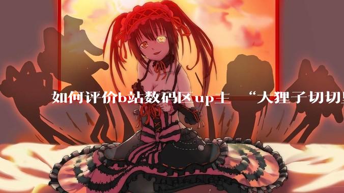 如何评价b站数码区up主 “大狸子切切里”?