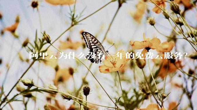 阿里云为什么没有一年的免费云服务？