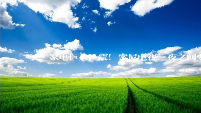又一家电巨头巨震！索尼电视一夜之间要姓“TCL”了_业务_全球_家庭娱乐