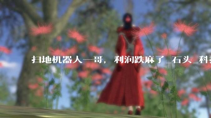 扫地机器人一哥，利润跌麻了_石头_科技_昌敬