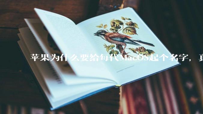 苹果为什么要给每代MacOS起个名字，真以为人们记得住分得清吗？