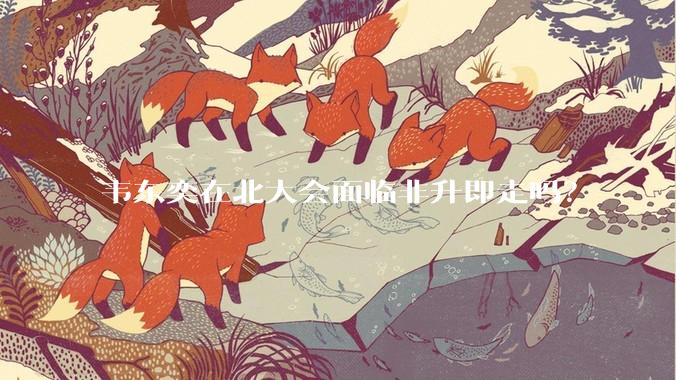 韦东奕在北大会面临非升即走吗？